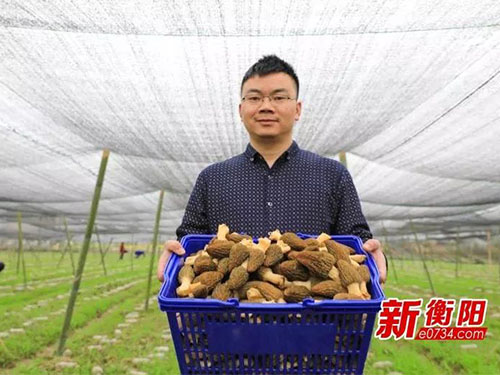 湖南金芙農業(yè)科技有限公司,湖南農業(yè)科技發(fā)展,蛹蟲(chóng)草,藥用菌 湖南金芙農業(yè)科技有限公司,湖南農業(yè)科技發(fā)展,蛹蟲(chóng)草,藥用菌