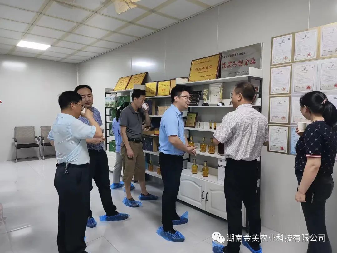 湖南金芙農業(yè)科技有限公司,湖南蛹蟲(chóng)草,湖南羊肚菌,蛹蟲(chóng)草,羊肚菌,龍新,蟲(chóng)草酒哪里好,衡陽(yáng)食用菌,衡陽(yáng)羊肚菌,衡陽(yáng)蛹蟲(chóng)草
