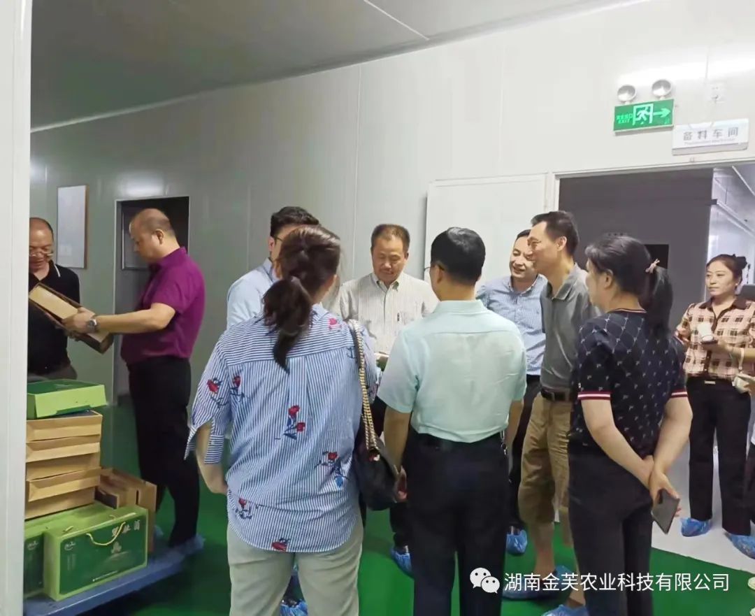 湖南金芙農業(yè)科技有限公司,湖南蛹蟲(chóng)草,湖南羊肚菌,蛹蟲(chóng)草,羊肚菌,龍新,蟲(chóng)草酒哪里好,衡陽(yáng)食用菌,衡陽(yáng)羊肚菌,衡陽(yáng)蛹蟲(chóng)草