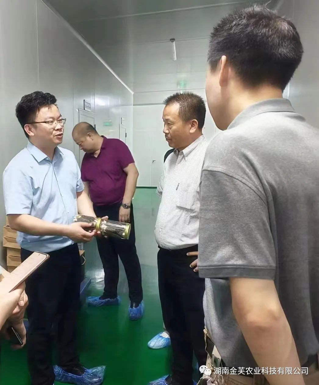 湖南金芙農業(yè)科技有限公司,湖南蛹蟲(chóng)草,湖南羊肚菌,蛹蟲(chóng)草,羊肚菌,龍新,蟲(chóng)草酒哪里好,衡陽(yáng)食用菌,衡陽(yáng)羊肚菌,衡陽(yáng)蛹蟲(chóng)草