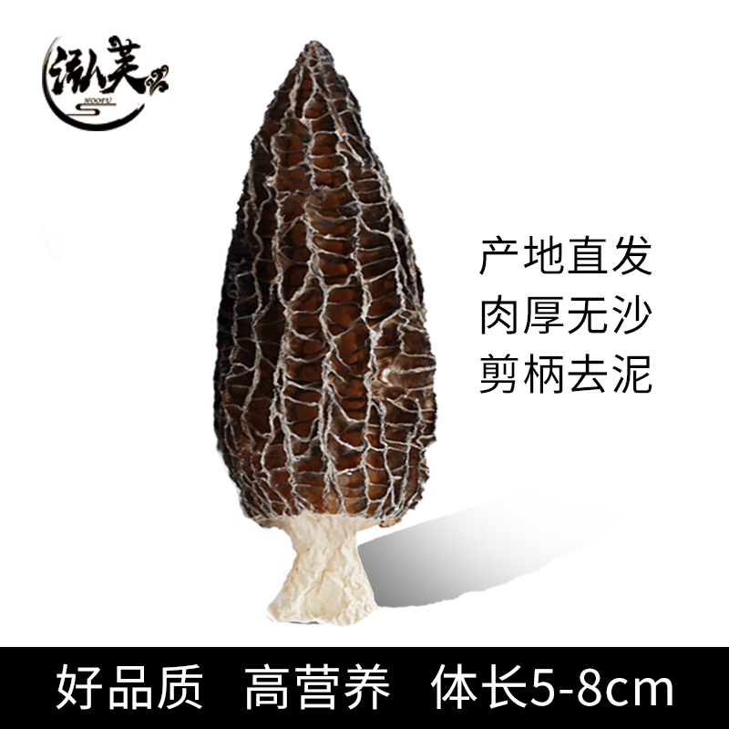 湖南金芙農業(yè)科技有限公司,湖南蛹蟲(chóng)草,湖南羊肚菌,蛹蟲(chóng)草,羊肚菌,龍新,蟲(chóng)草酒哪里好,衡陽(yáng)食用菌,衡陽(yáng)羊肚菌,衡陽(yáng)蛹蟲(chóng)草